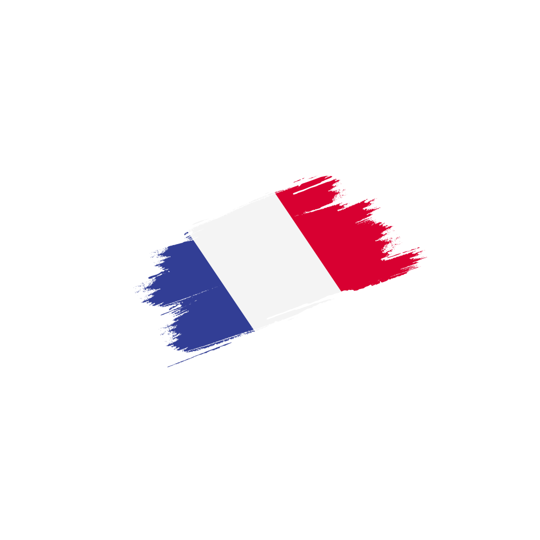 Курси французької flag